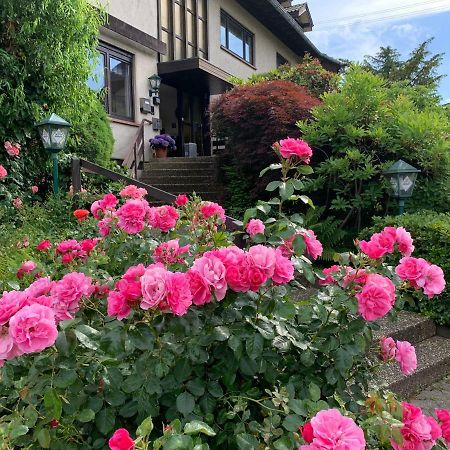 Hotel Roederhof 巴登-巴登 外观 照片