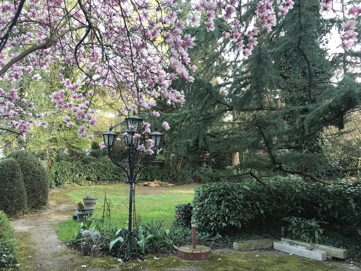 Hotel Roederhof 巴登-巴登 外观 照片