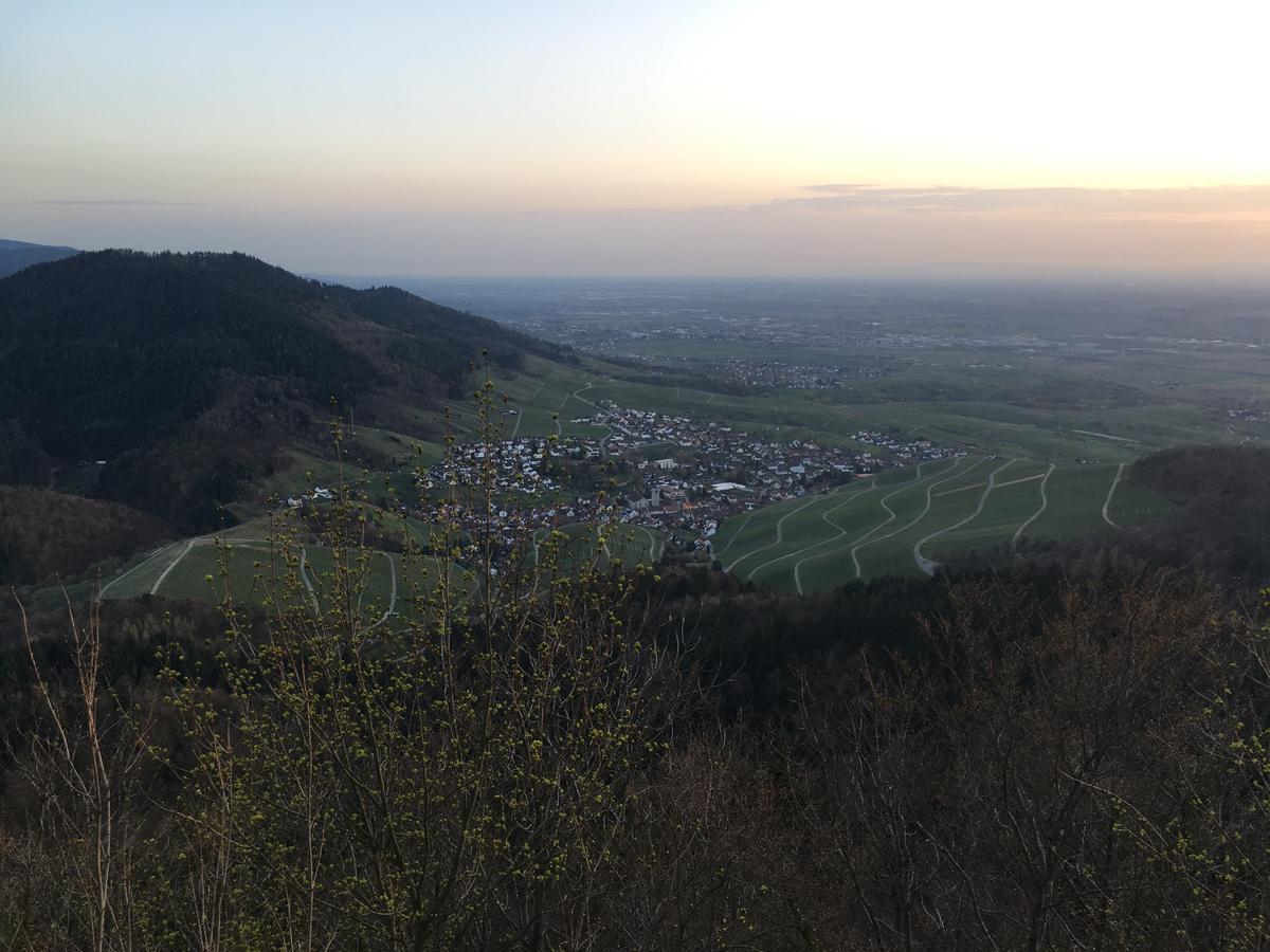 Hotel Roederhof 巴登-巴登 外观 照片